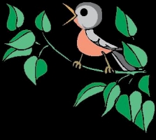 missing: ../jpgs/images-print-artist-drawings/BIRD - SINGING 2.jpg